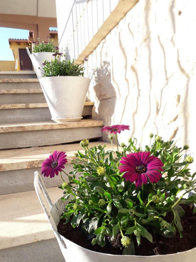 Il Vaso Di Creta Bed & Breakfast Ragusa Bagian luar foto